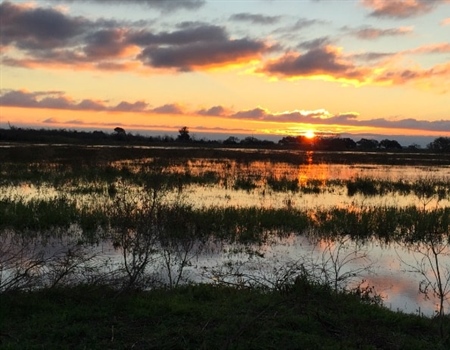 Texas BHA Takes Part in Chenier Plain Sportsmen’s Summit