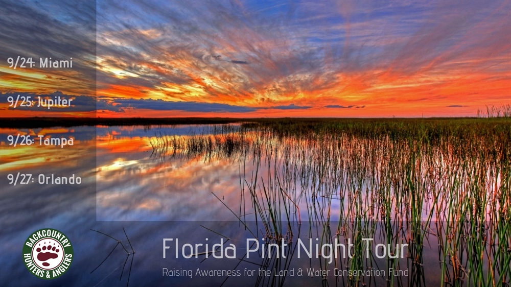 Florida Pint Night Tour