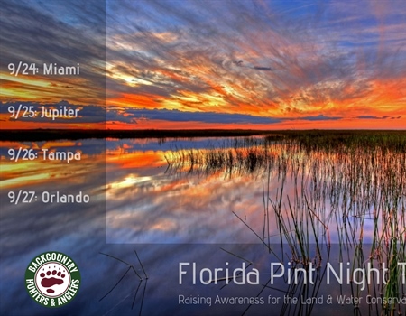 Florida Pint Night Tour