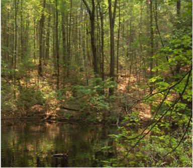 New England Chapter supports new requirements to make it harder to sell or transfer state land in Connecticut