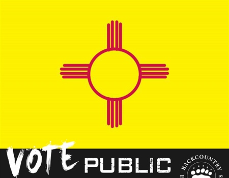 2018 New Mexico Midterm Election Candidate Questionnaire