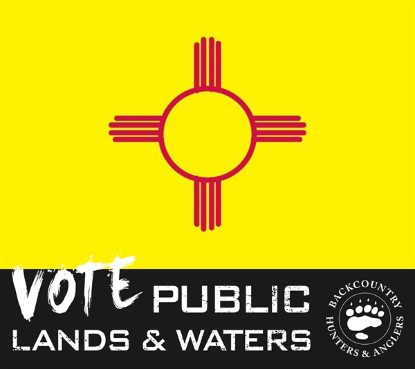 2018 New Mexico Midterm Election Candidate Questionnaire