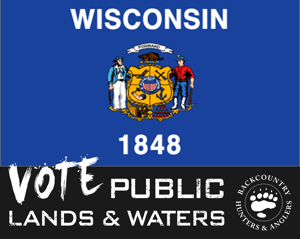 Wisconsin 2018 Midterm Election Candidate Questionnaire