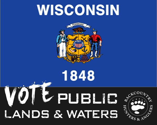 Wisconsin 2018 Midterm Election Candidate Questionnaire
