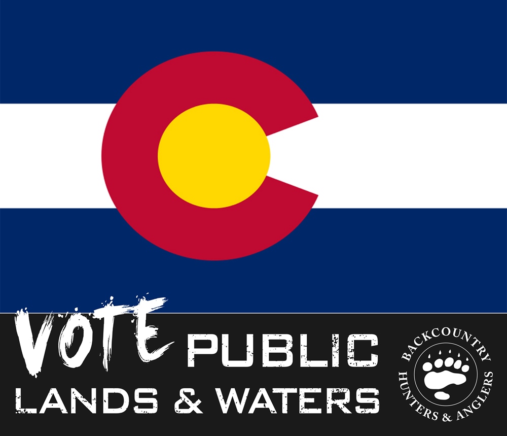 Colorado 2018 Midterm Election Candidate Questionnaire