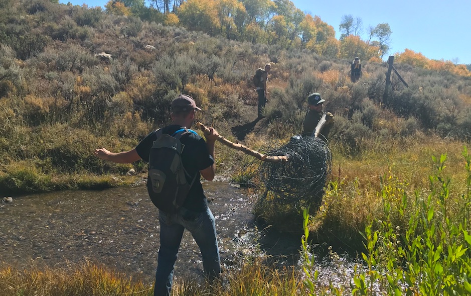 USU College Club Leads Spawn Creek Fence Removal Project