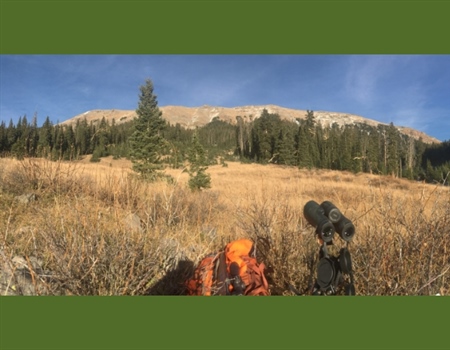 Colorado Backcountry Hunters & Anglers Appoint Habitat Watch Volunteers