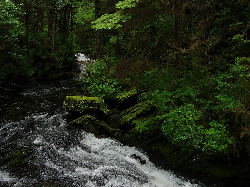 Tongass National Forest, Other Alaska Roadless Lands  Could Be Developed Under State-Federal Plan