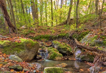New York BHA speaks up for LWCF
