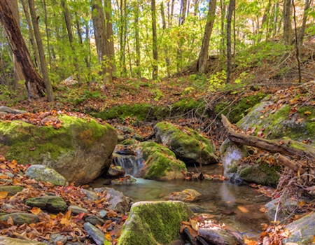 New York BHA speaks up for LWCF