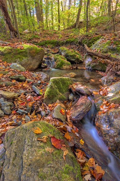 New York BHA speaks up for LWCF