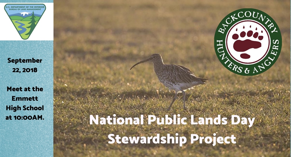 Idaho BHA assisting BLM with public lands clean-up project near Emmett