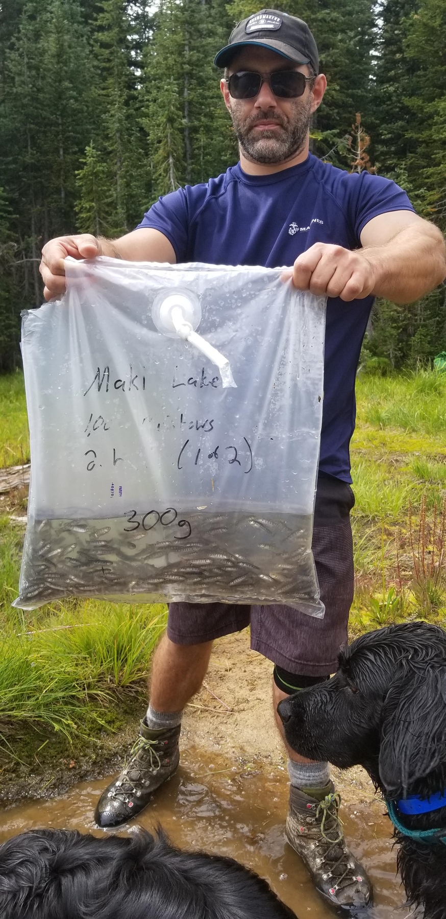 Idaho BHA volunteers help stock fish in backcountry lake