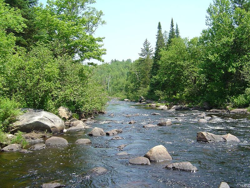 Land and Water Conservation Fund Is Key  to Public Lands Traditions, Says New BHA Report