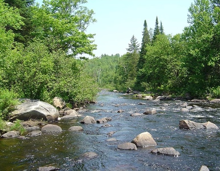 Land and Water Conservation Fund Is Key  to Public Lands Traditions, Says New BHA Report