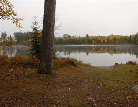 LWCF Success Story: Koochiching-Washington National Forest Legacy Conservation Area, Minnesota