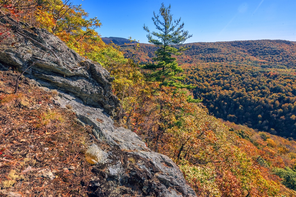LWCF Success Story: Rensselaer Plateau, New York