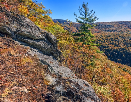 LWCF Success Story: Rensselaer Plateau, New York