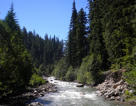 LWCF Project at Risk: Hood River Forest and Fish Conservation Plan, Oregon