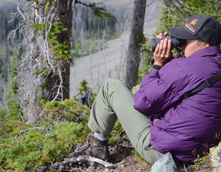 LETTER: Montana Chapter Supports Lolo Trails Landmark Project