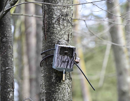 Live Action Game Cameras