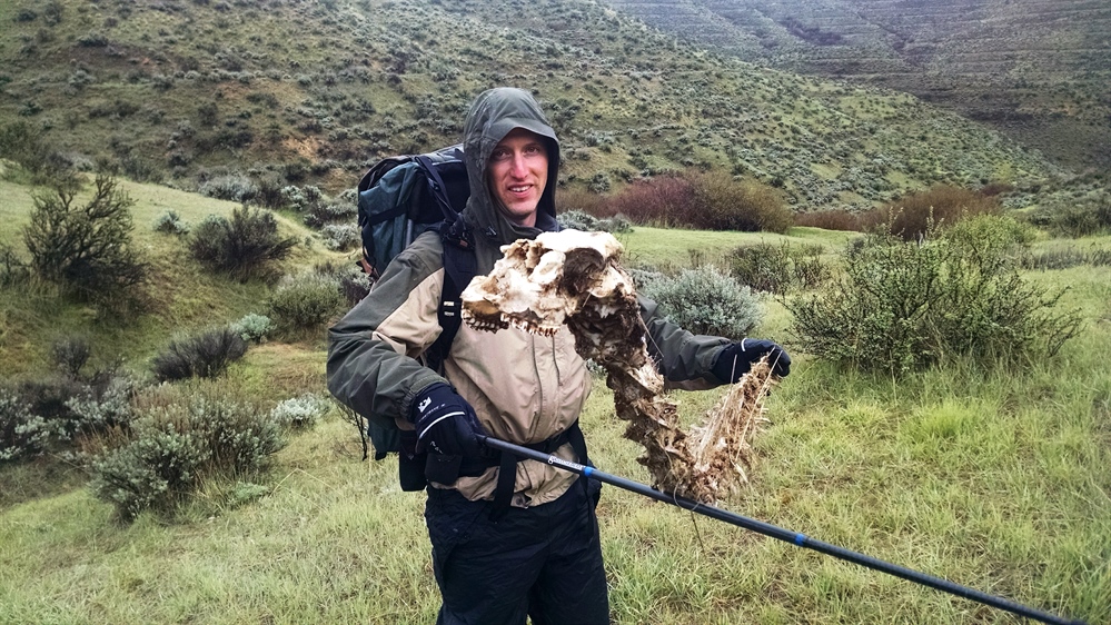 Idaho BHA submits comments to BLM regarding wildlife security in the Boise foothills