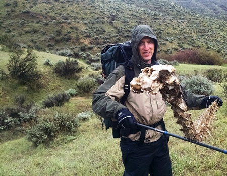 Idaho BHA submits comments to BLM regarding wildlife security in the Boise foothills
