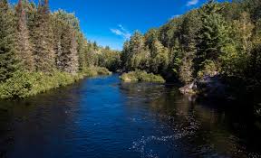 Bad Public Lands Bills Pass Michigan House and Senate