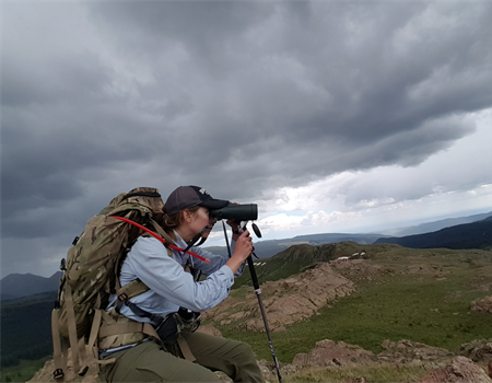 Bighorn Observation Volunteers Needed Colorado BHA