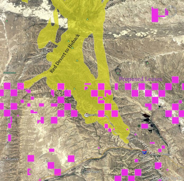 The Importance of Protecting the Red Desert to Hoback Mule Deer Migration Corridor