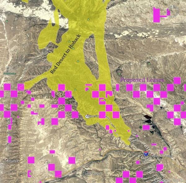 The Importance of Protecting the Red Desert to Hoback Mule Deer Migration Corridor