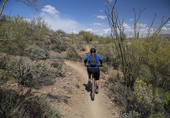 Arizona BHA Gives Overview of Misguided House Bill 2210