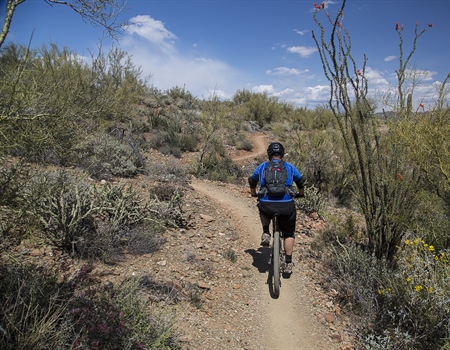 Arizona BHA Gives Overview of Misguided House Bill 2210