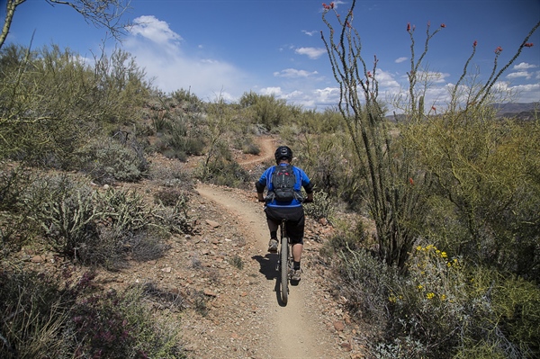 Arizona BHA Gives Overview of Misguided House Bill 2210