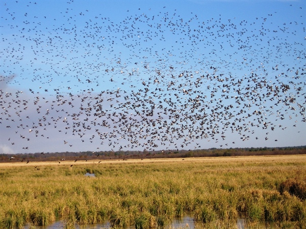 Public Waters Access Bill Fails in the State Legislature