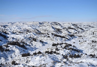 OPINION: Horse Creek easement offers public access where it’s needed most