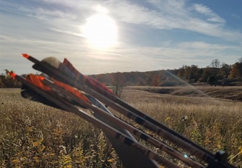 Action Alert! Michigan Public Lands at Risk