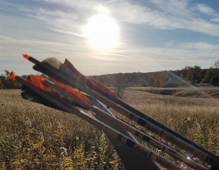 Action Alert! Michigan Public Lands at Risk
