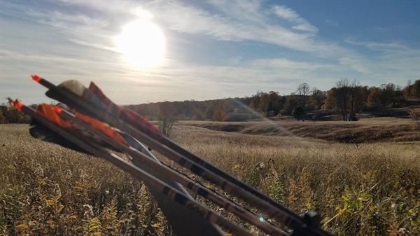 Action Alert! Michigan Public Lands at Risk