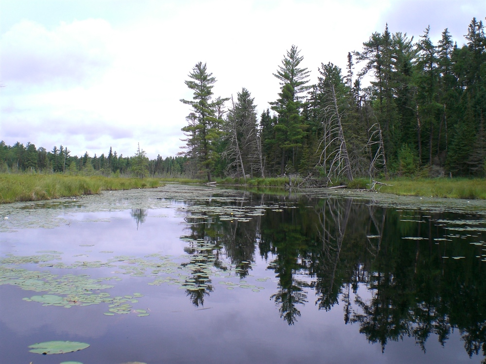 BHA's Land Tawney Speaks to the Importance of the Boundary Waters