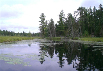 BHA's Land Tawney Speaks to the Importance of the Boundary Waters