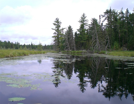BHA's Land Tawney Speaks to the Importance of the Boundary Waters