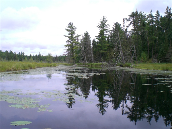 BHA's Land Tawney Speaks to the Importance of the Boundary Waters