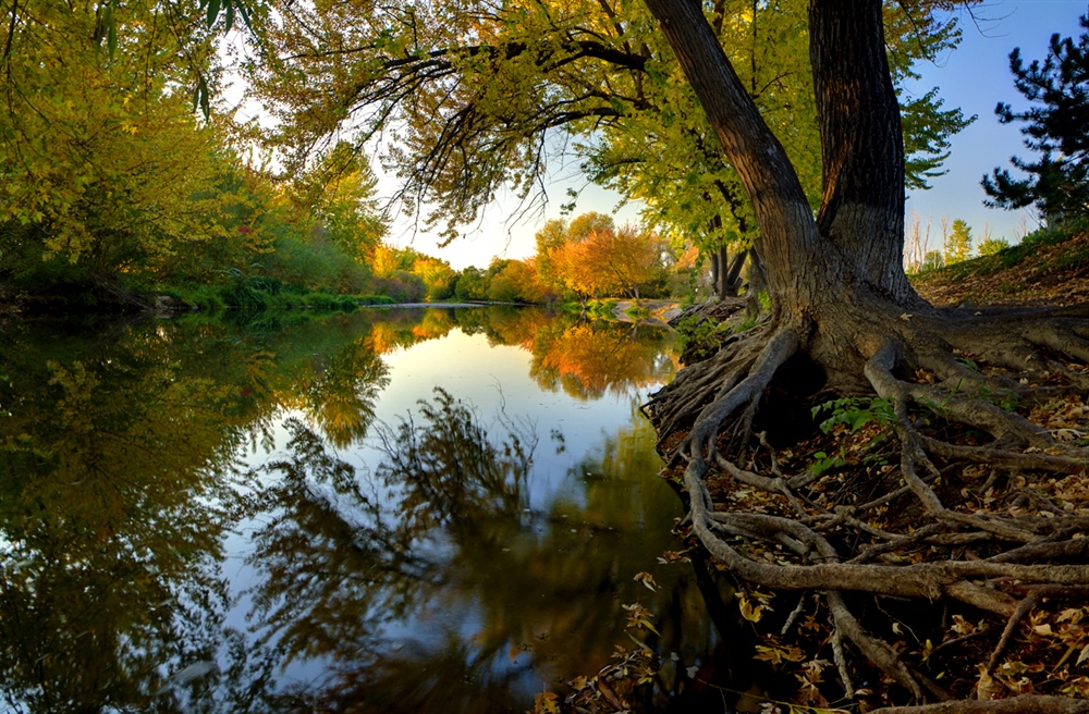 Things to Do in Boise during #Rende2018