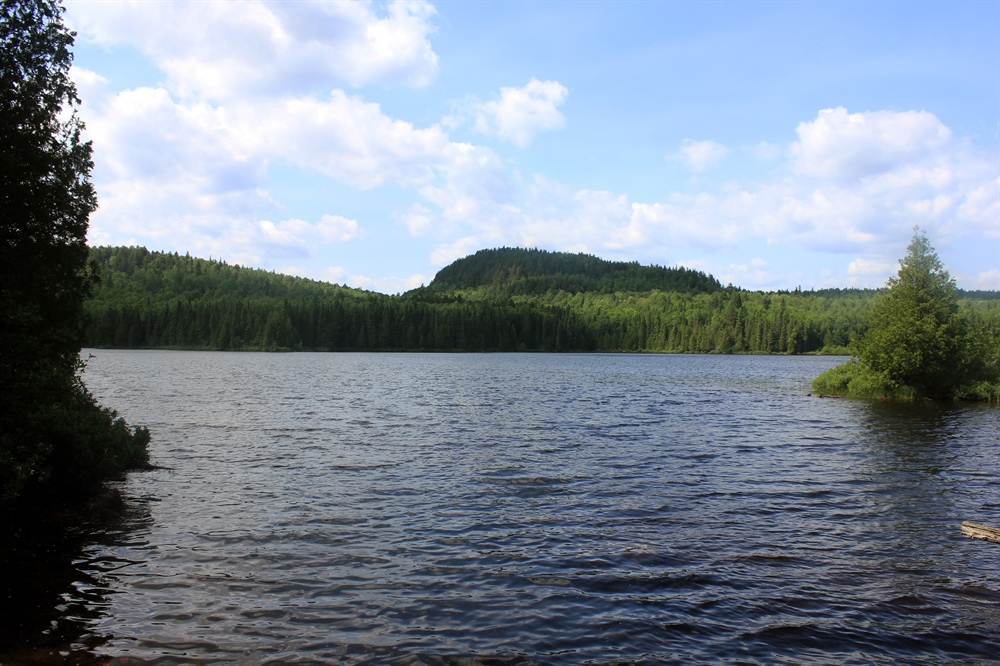Ten-Plus Things YOU Can Do To Help The Backcountry (Ways to Get Involved with Minnesota BHA)