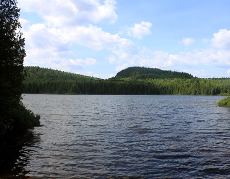 Ten-Plus Things YOU Can Do To Help The Backcountry (Ways to Get Involved with Minnesota BHA)