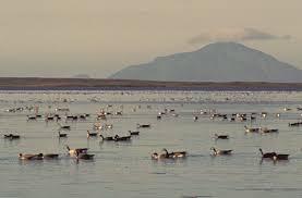 Alaska Wilderness to Be Developed Following Covert Land Exchange