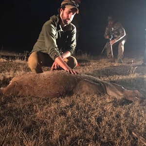Hunting for Sustainability:  BHA’s Collegiate Program Creates New Hunters