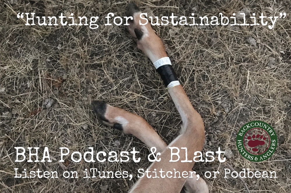 BHA Podcast & Blast, Episode 14: Hunting for Sustainability