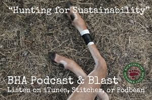 BHA Podcast & Blast, Episode 14: Hunting for Sustainability